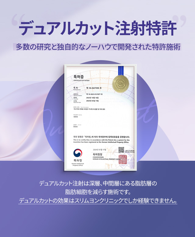 듀얼컷주사